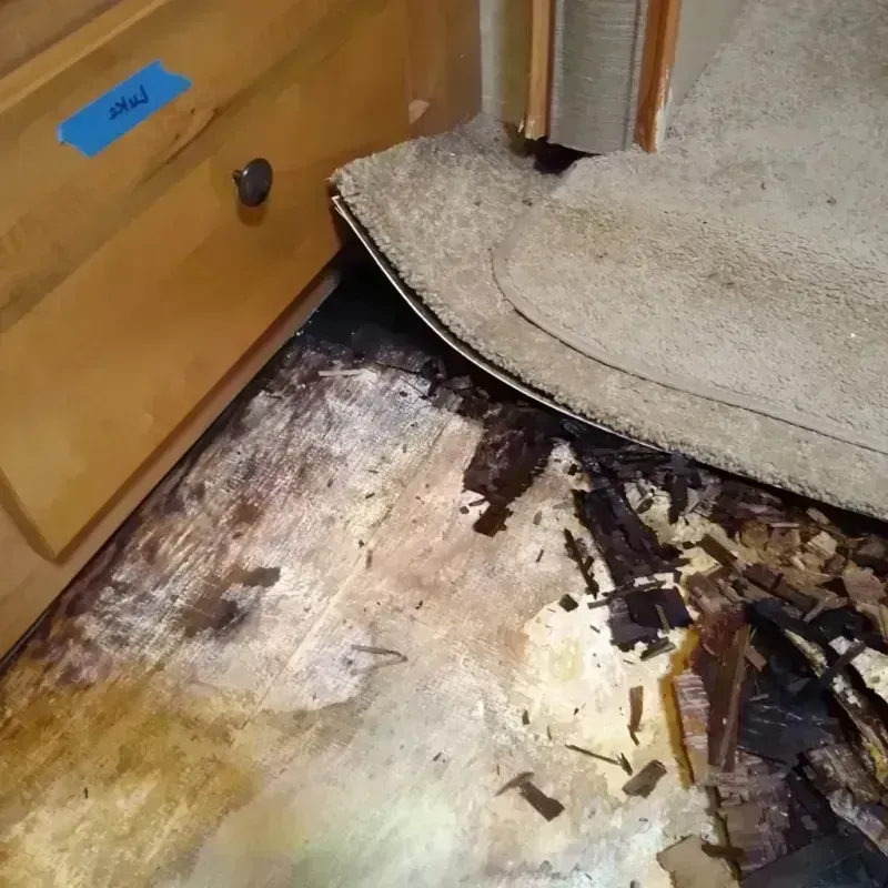 Wood Floor Water Damage in Wake Forest, NC